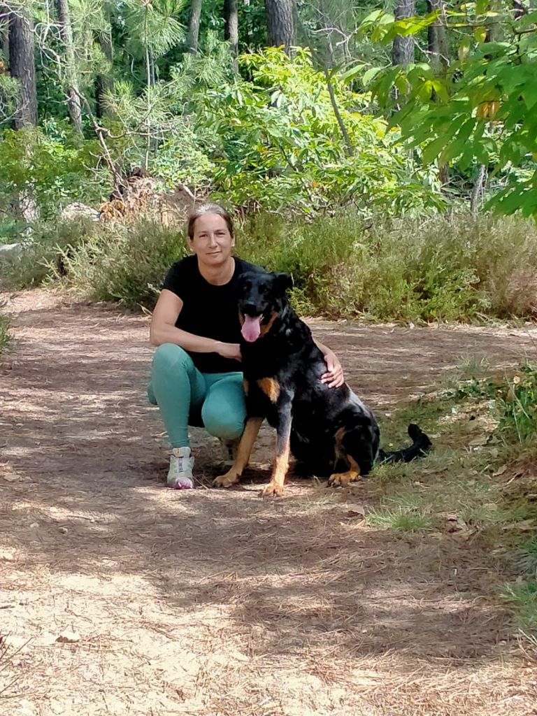 Direction Liévin les 15 & 16 Novembre 2025