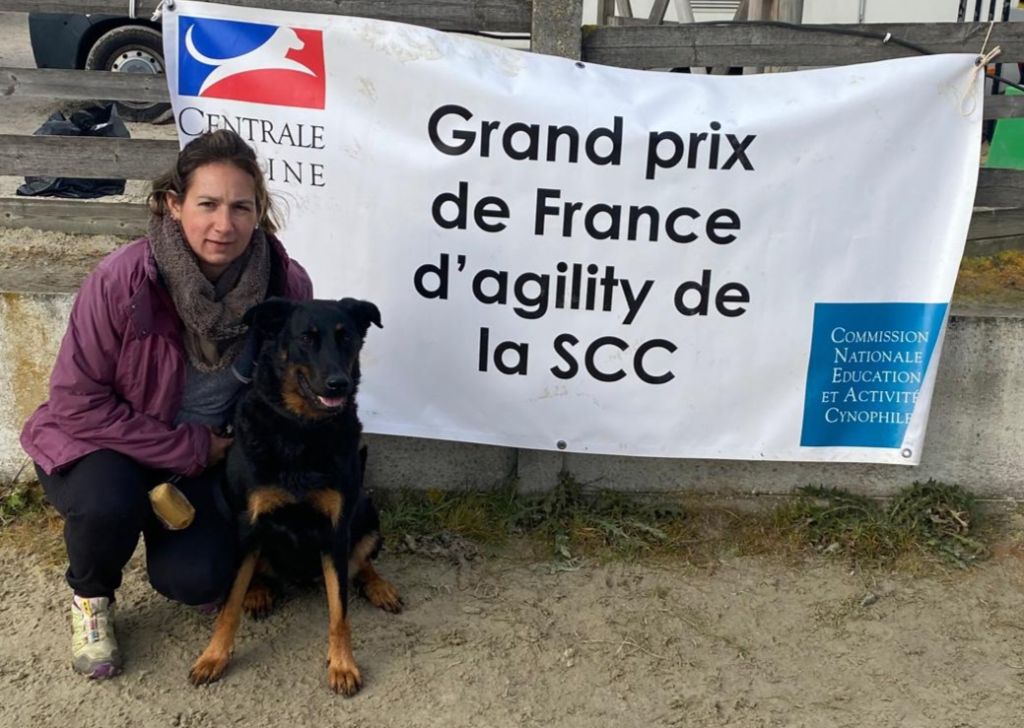 Finale GPF Agility Liévin Novembre 2025